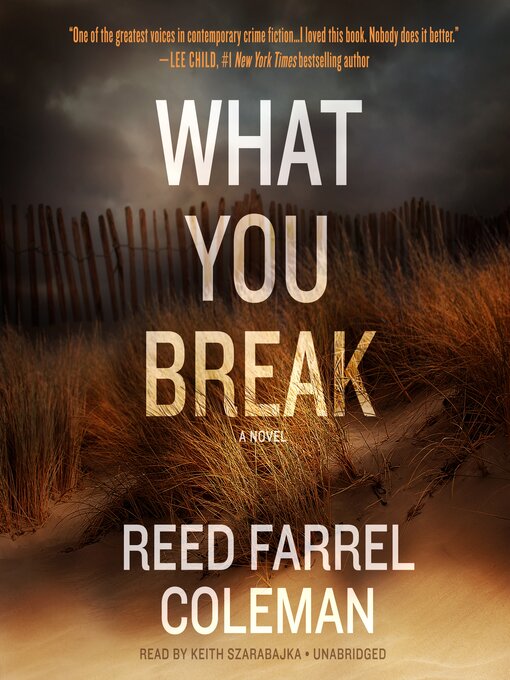 Cover image for What You Break